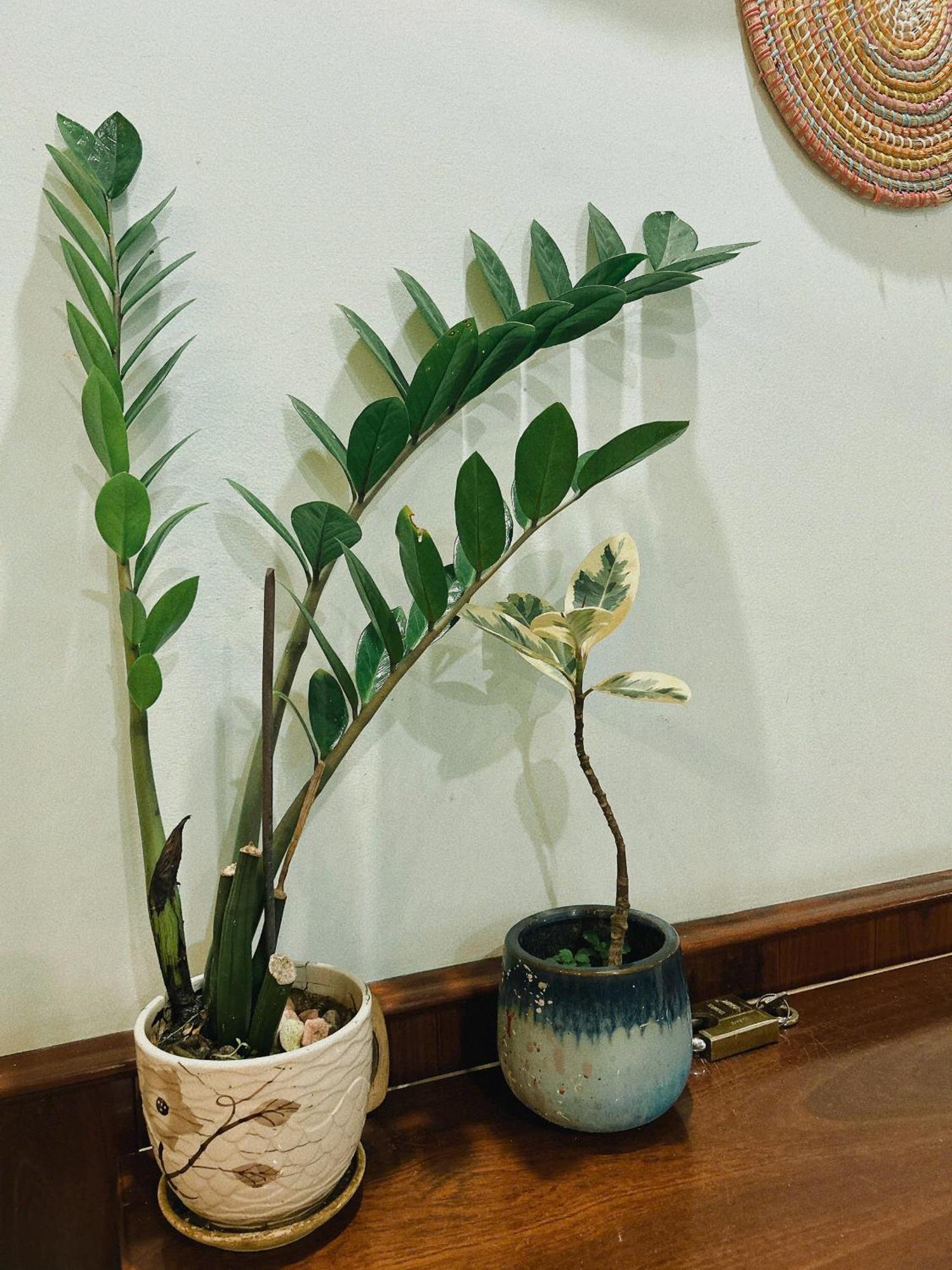 Nang Homestay 绥和市 外观 照片
